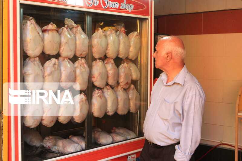 کاهش قیمت مرغ به حدود ۲۰ هزار تومان با افزایش عرضه نهاده‌ها