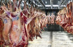 واردات روزانه ۲۰۰ تا ۳۰۰ تن گوشت گوسفندی و گوساله تا پایان ماه رمضان