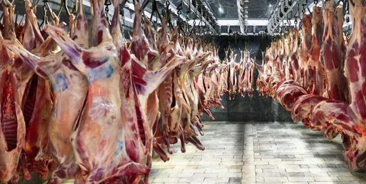 ریزش شدید قیمت لاشه گوسفندی/ افزایش قاچاق دام به کشورهای همسایه