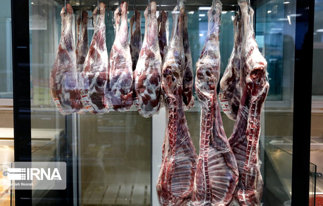 افزایش قیمت جو ملاکی برای تعیین قیمت گوشت نیست/ آزادسازی صادرات دام درخواست دامداران