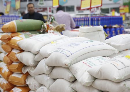«آفت انباری برنج نو» نگرانی روز شالیکاران مازندران