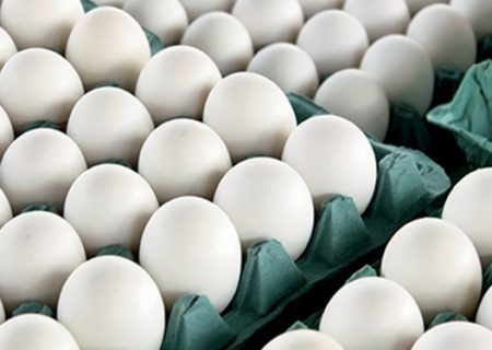 تولیدکنندگان، تخم مرغ را زیر قیمت مصوب می‌فروشند