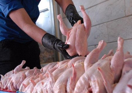 فراخوان شرکت پشتیبانی امور دام کشور برای تولید مرغ