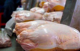 تولید گوشت مرغ به ۲۴۰ هزار تن در ماه می‌رسد