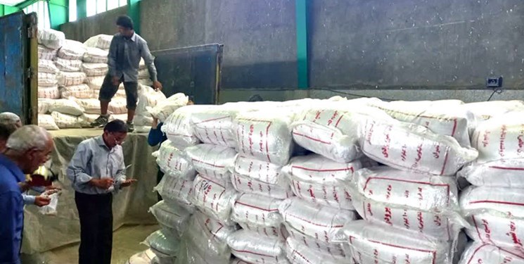 تصویب اعتبار ویژه برای خرید تضمینی برنج