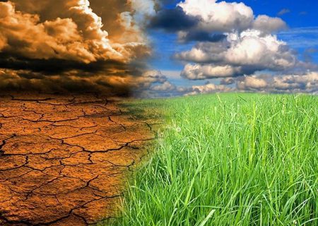 تغییر اقلیم چه پیامدهایی در بخش کشاورزی دارد؟