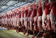 اگر شرکت پشتیبانی امور دام نبود ، گوشت گران‌تر از ۷۰۰ هزار تومان هم می‌شد؟