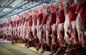 تسهیل‌گری در عرضه گوشت قرمز وارداتی توسط شرکت‌های بخش خصوصی